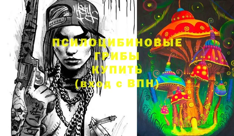 Псилоцибиновые грибы Cubensis  kraken ССЫЛКА  Апшеронск  продажа наркотиков 